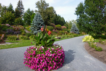 Parc botanique  fleur d'eau  Rouyn-Noranda