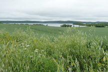 Une perspective du Témiscamingue évoquant le Jura Une perspective du Témiscamingue évoquant le Jura