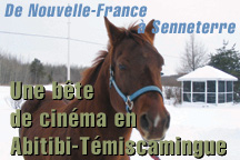 CHEVAL AU CINEMA